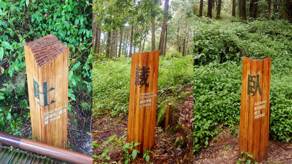 親子步道-水山療癒步道心靈放鬆指引